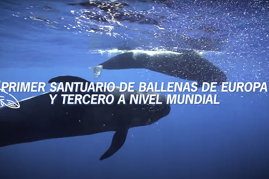 8sostenibilidadendestino