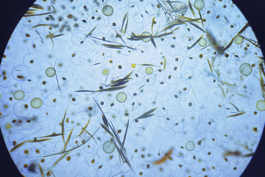 2slideturismocientifico