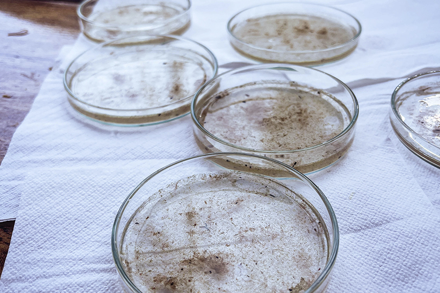 6slideturismocientifico